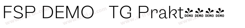 FSP DEMO   TG Prakt字体转换